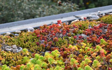 the cost of Ardmolich green roof installation