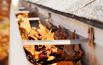 Ardmolich gutter cleaning companies