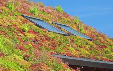 Ardmolich living roof systems