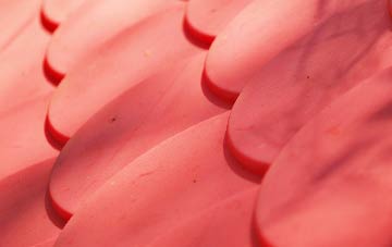 Ardmolich plastic roof costs