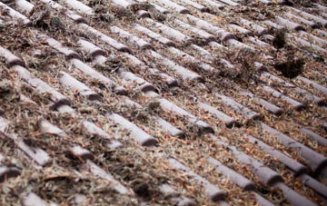 Ardmolich roof cleaning companies